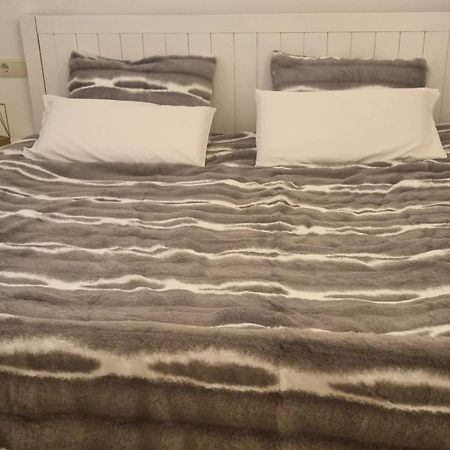 Alicante Apartment 外观 照片
